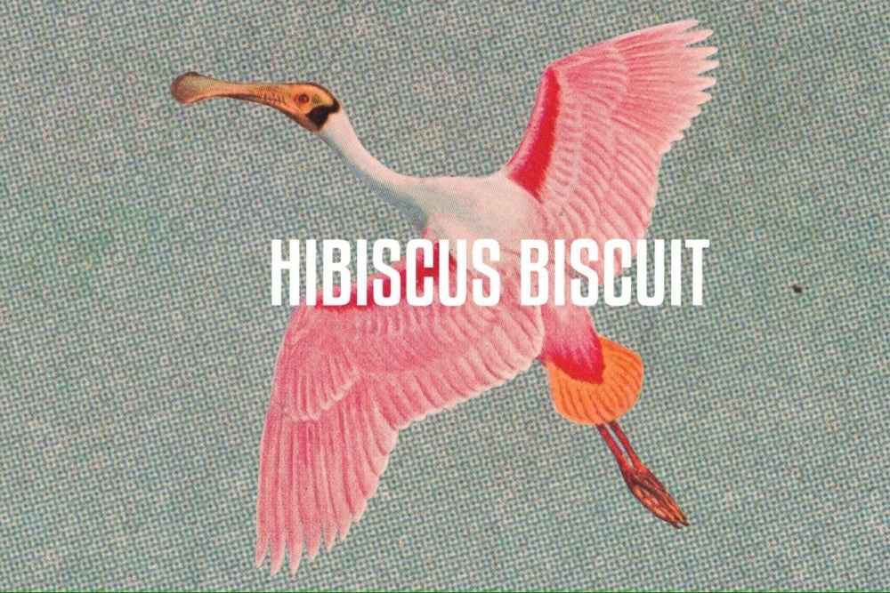 Hibiscus Biscuit