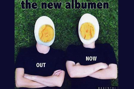 The New Albumen