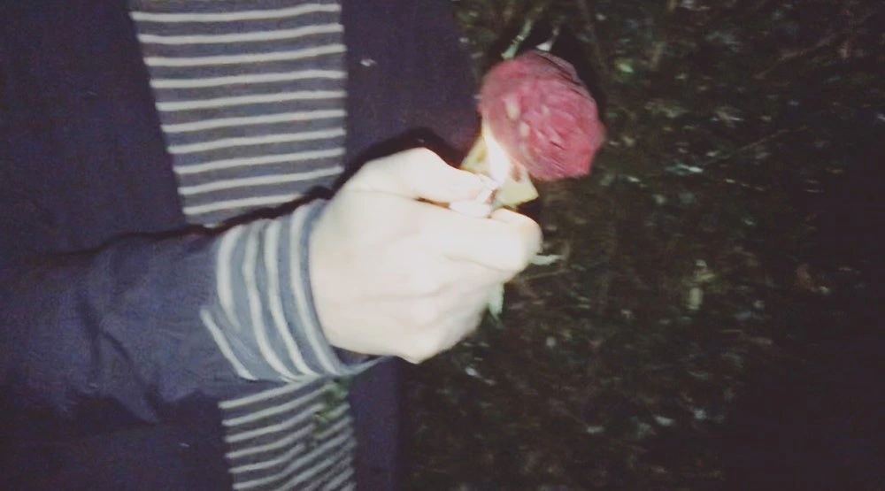 N e w D a r k