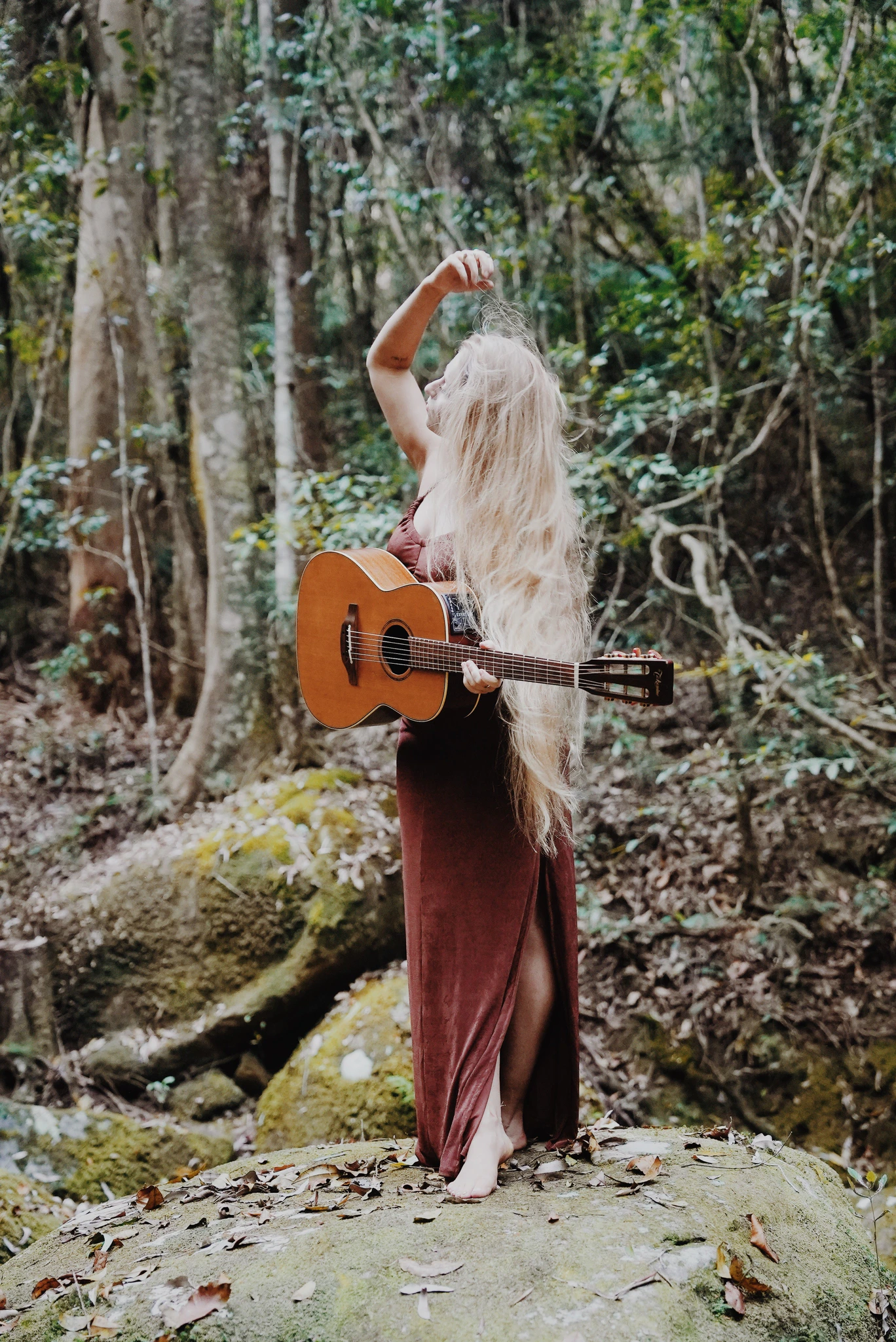 wildharmony