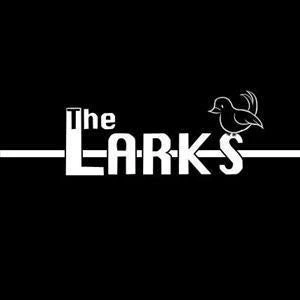 The Larks