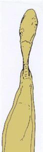 The Brothers Gutworm