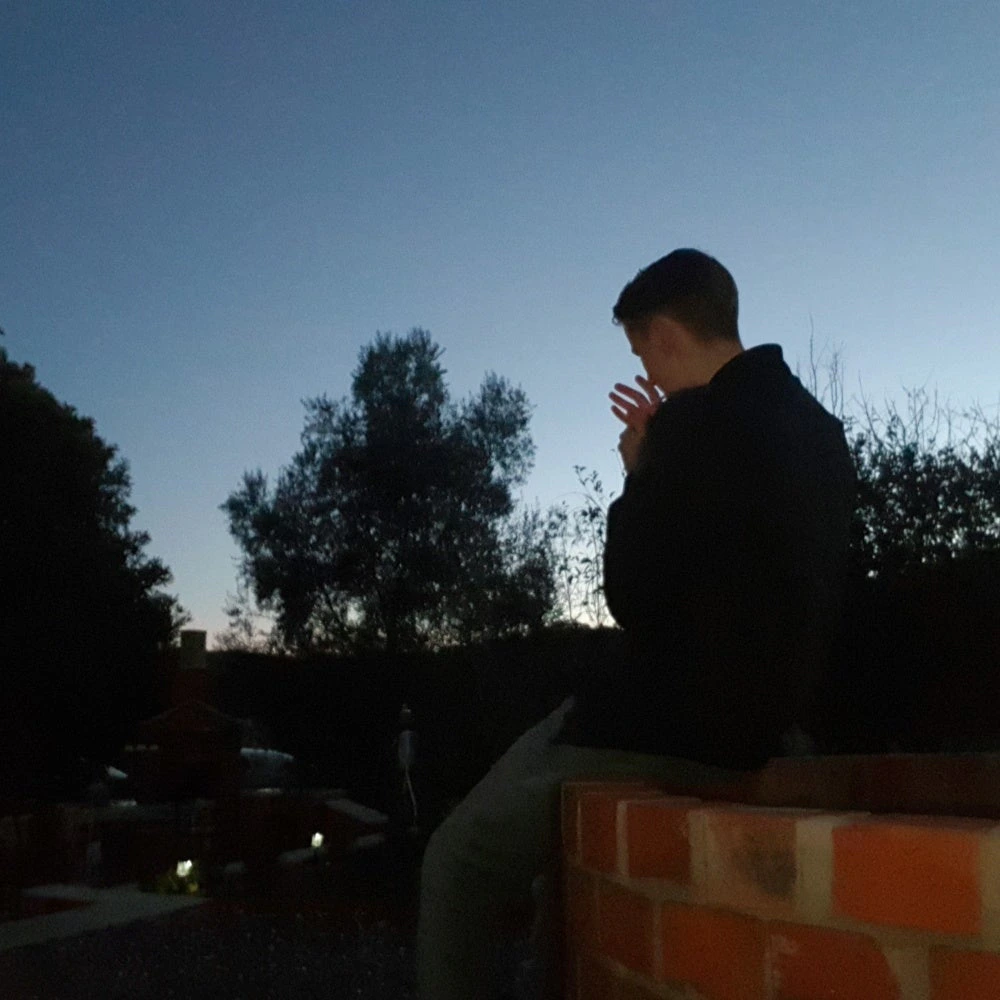 TnL