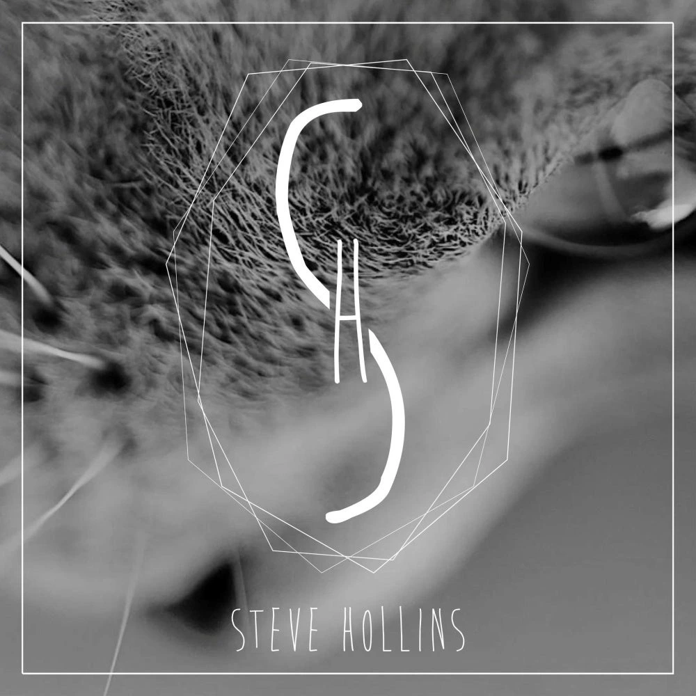 Steve Hollins