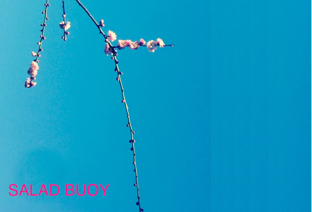 SALAD BUOY