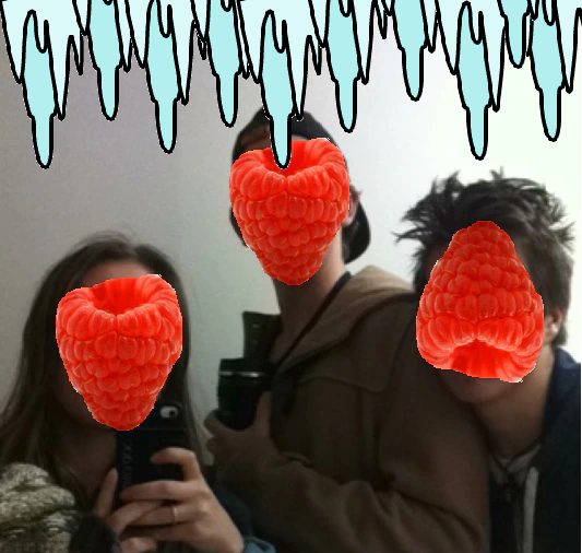 The Frozen Raspberries
