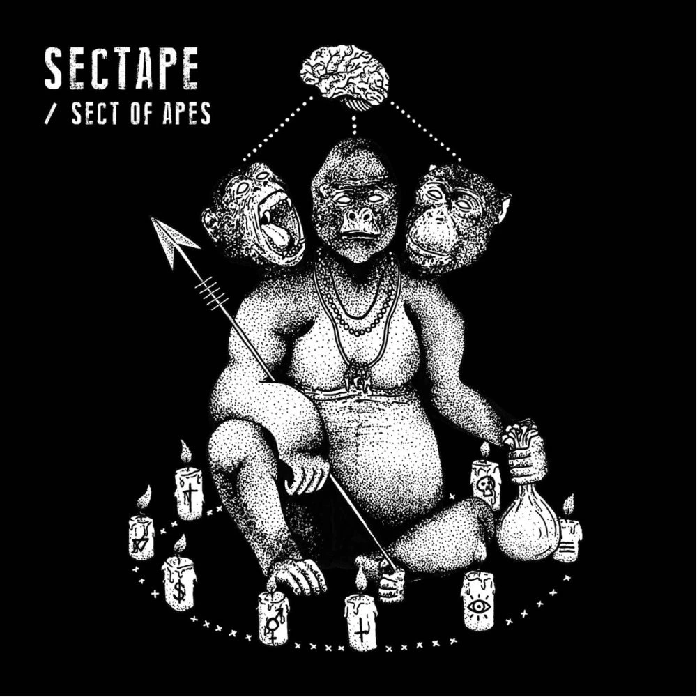 SectApe