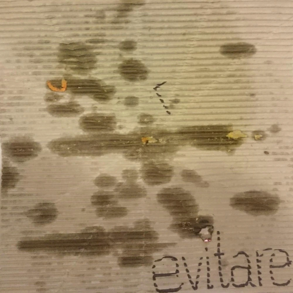Evitare