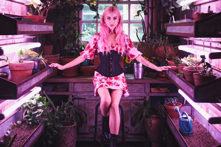 Mollie Rose