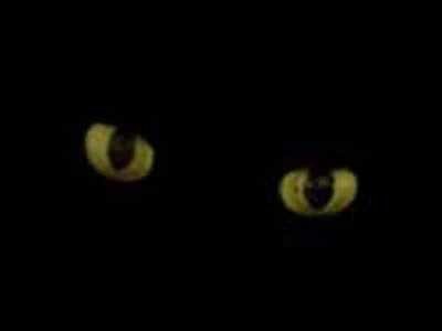 Manas Eye