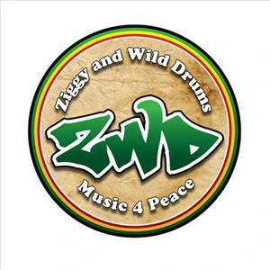 Ziggy and The Wild Drums