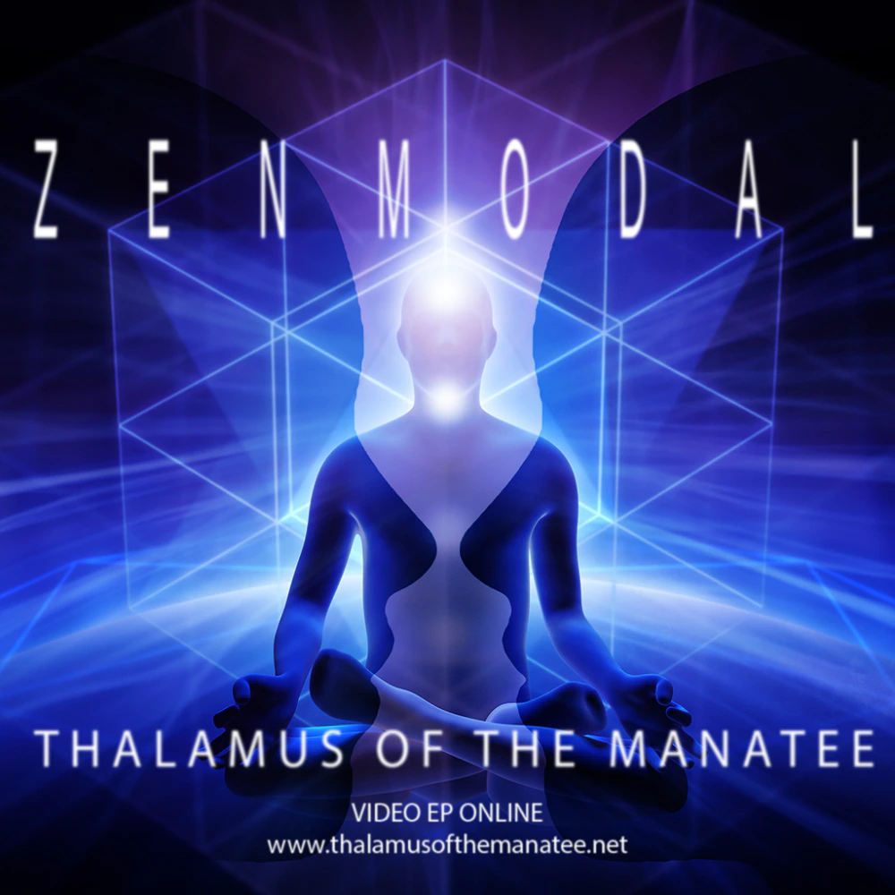 Thalamus of the Manatee