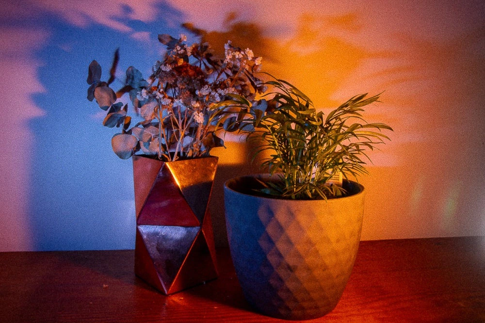 thelayersofcolour