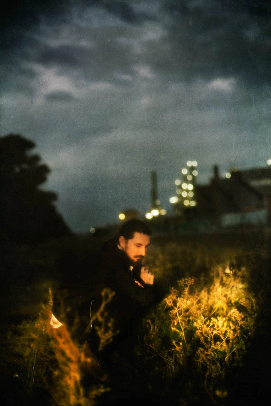 Harry Cook