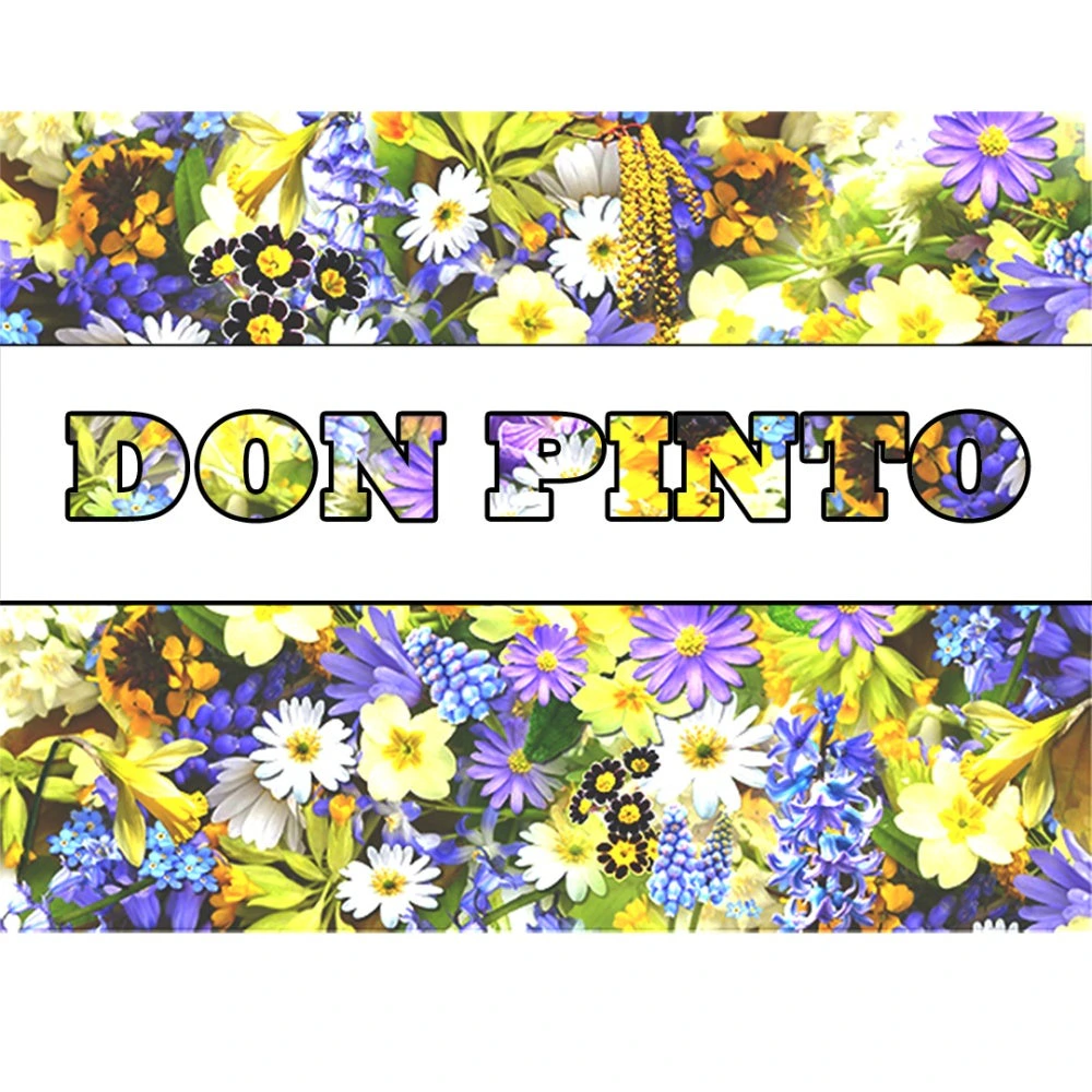 Don Pinto