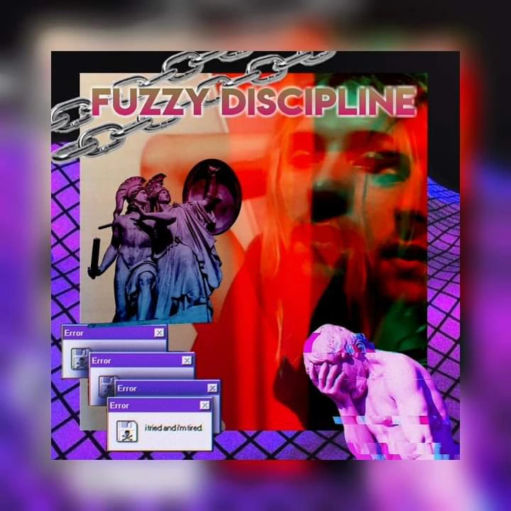 Fuzzy Discipline