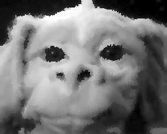 falkor