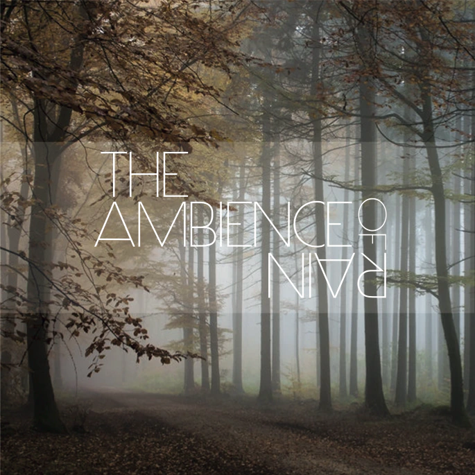The Ambience Of Rain