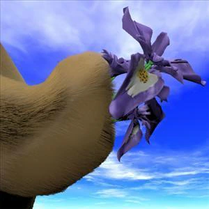 Shot Iris