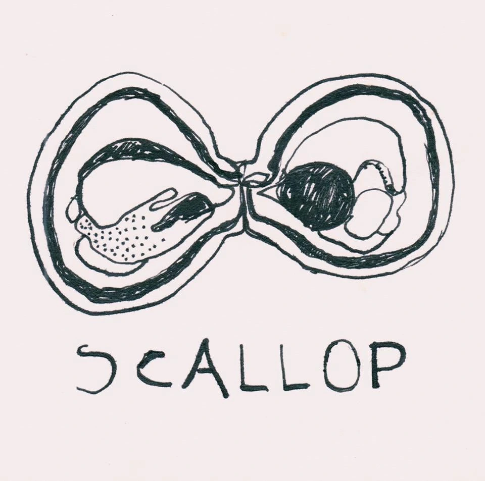 Scallop