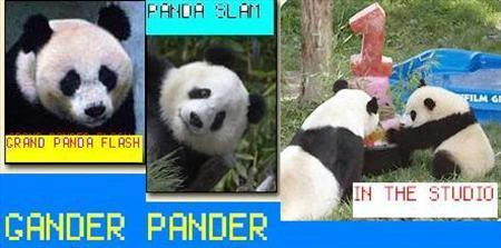 Gander Pander