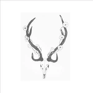 Chital