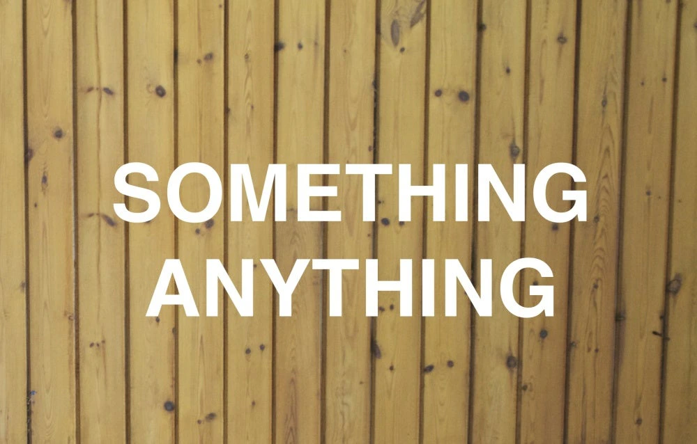 SOMETHING ANYTHING