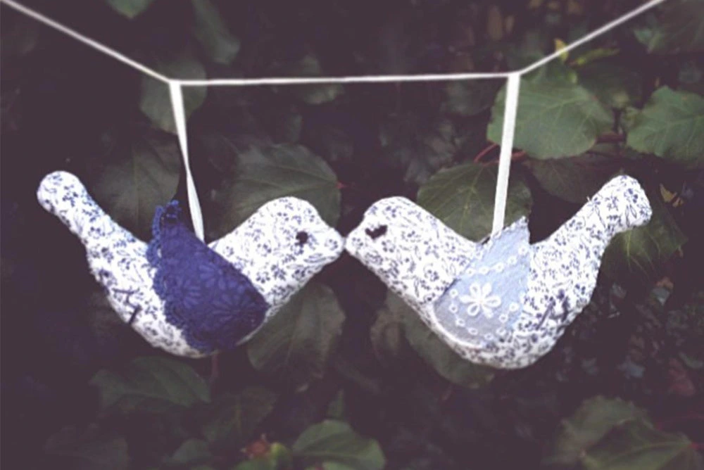Blue Wren