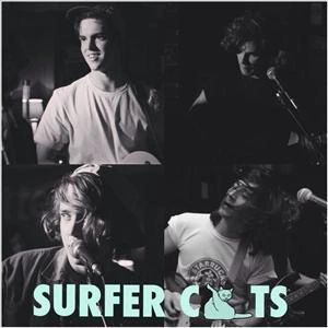 SURFER CATS