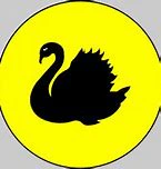 Blakswan