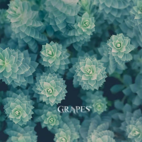 {Grapes}