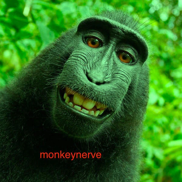 monkeynerve