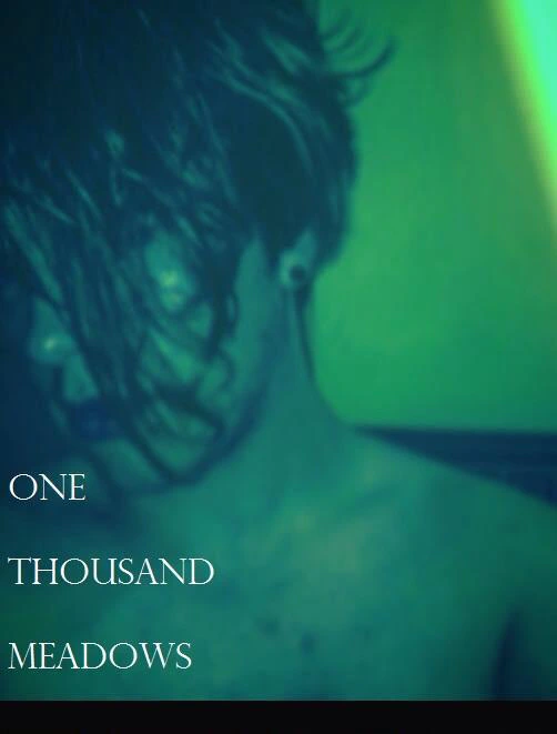 One Thousand Meadows