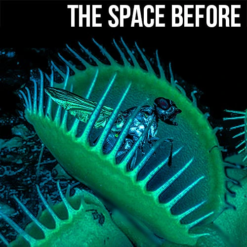 THE SPACE BEFORE