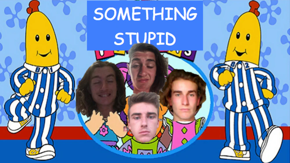 Something Stupid