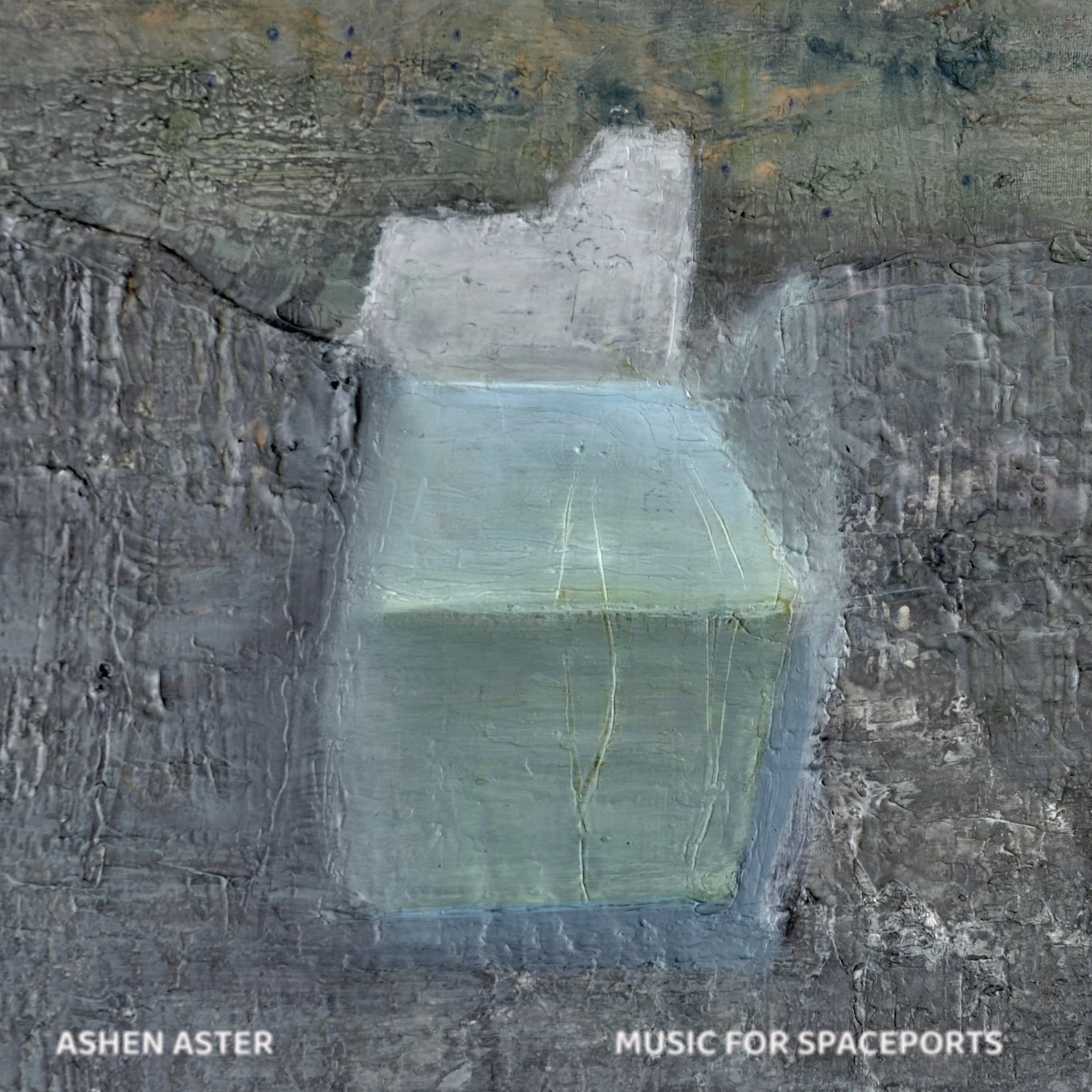 Ashen Aster