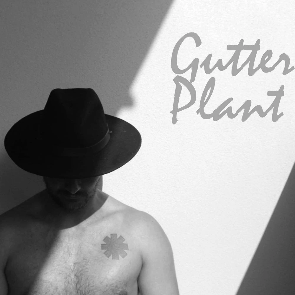 GUTTER PLANT