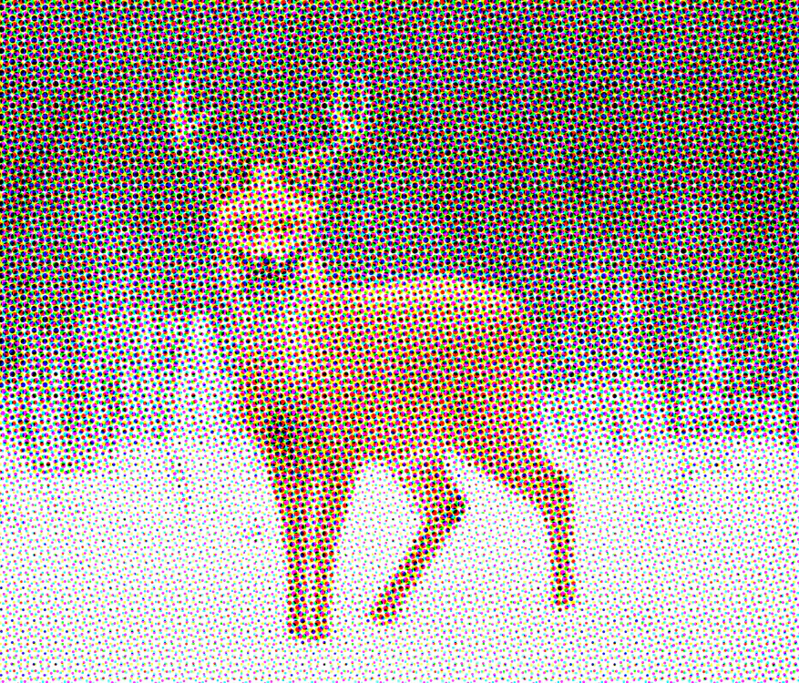 Dear Fox