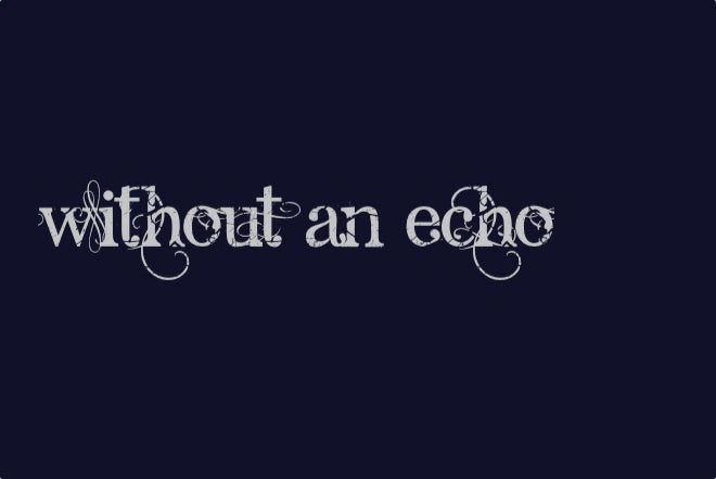 Without An Echo