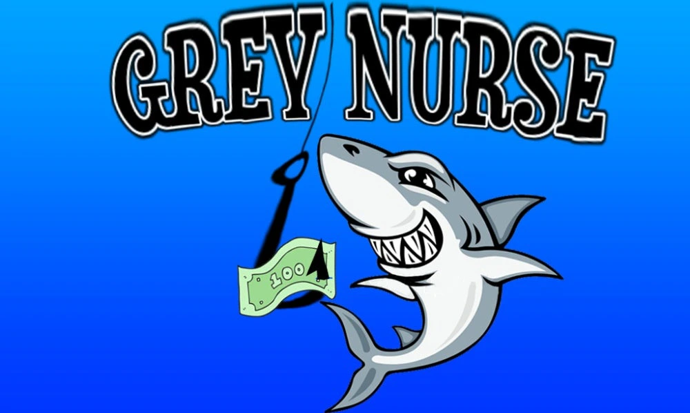 Grey Nurse