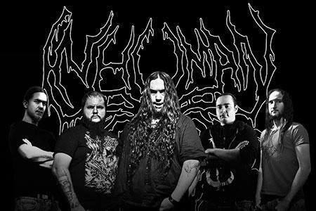 inhuman remnants