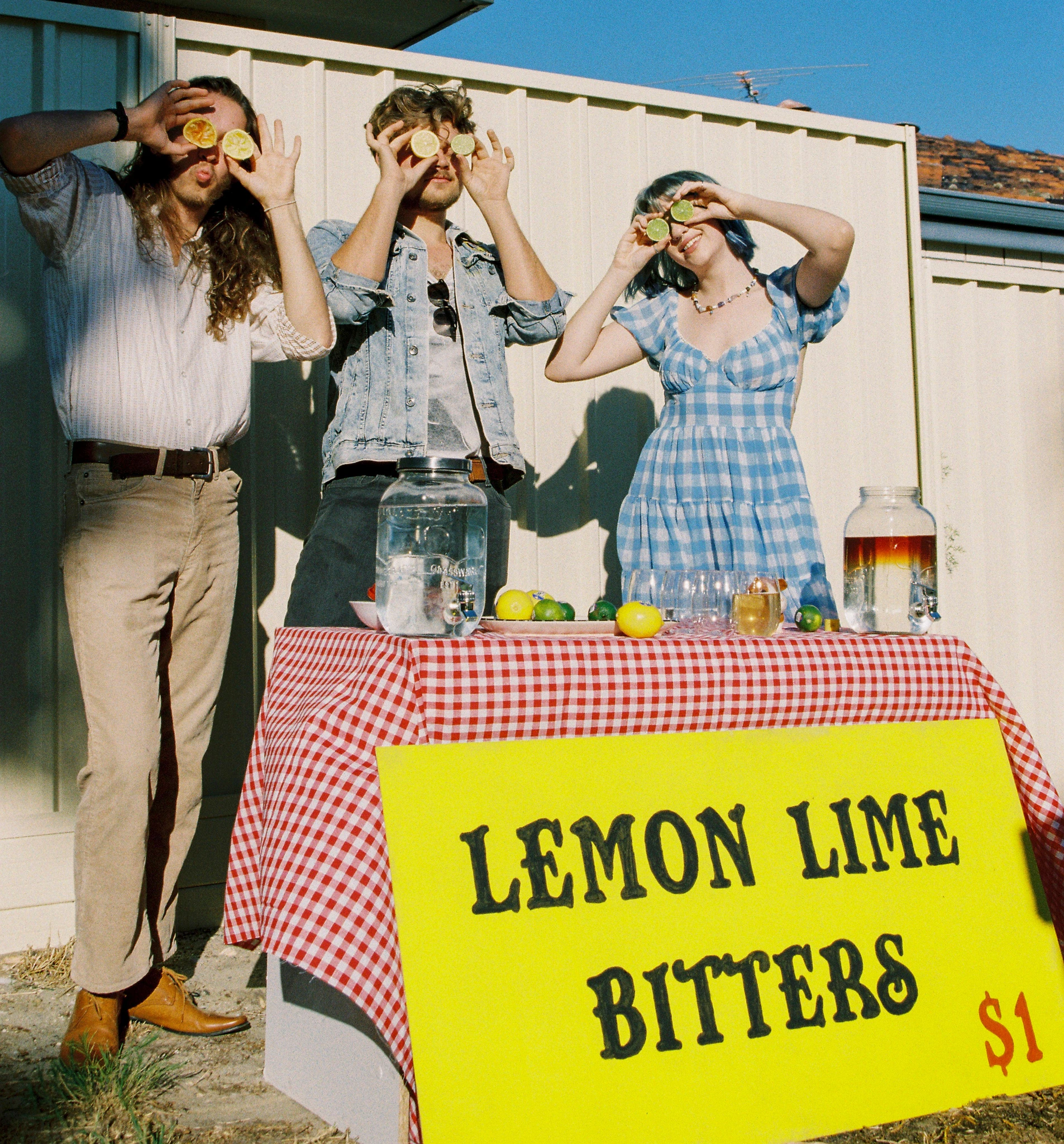 Lemon Lime Bitters