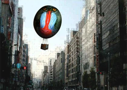 Hot Air Baboon