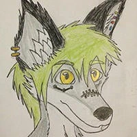 KusaFox