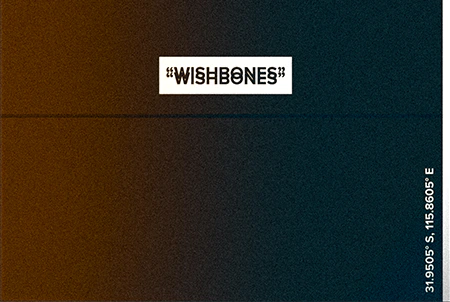 WISHBONES