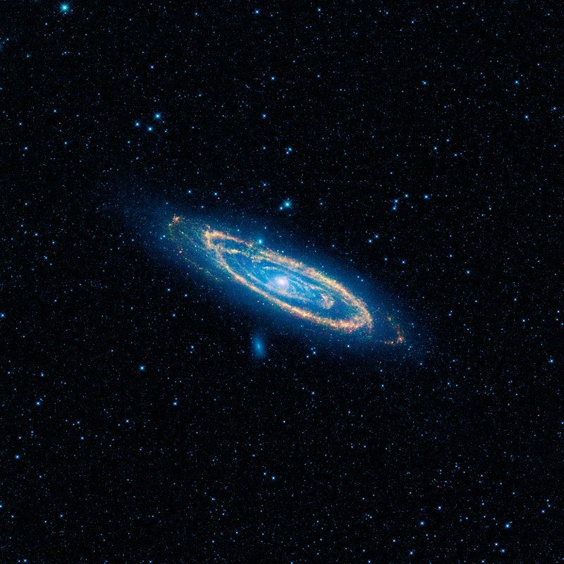 Vast U