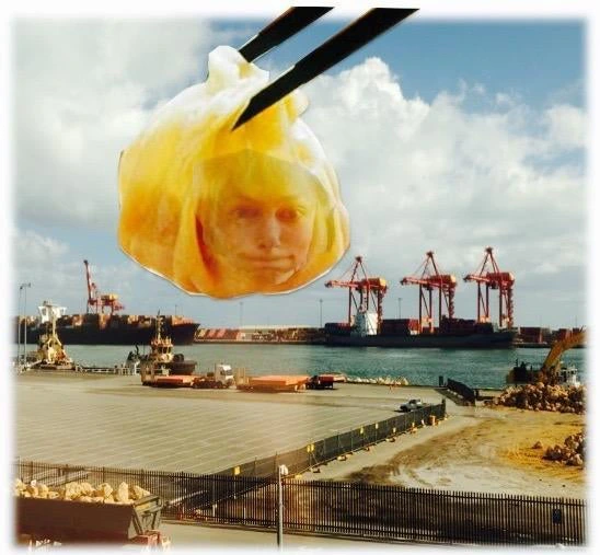 The Ugly Dumplings