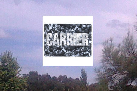 Carrier