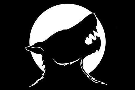 The Order Of The Black Werewolf