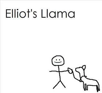 Elliot's Llama